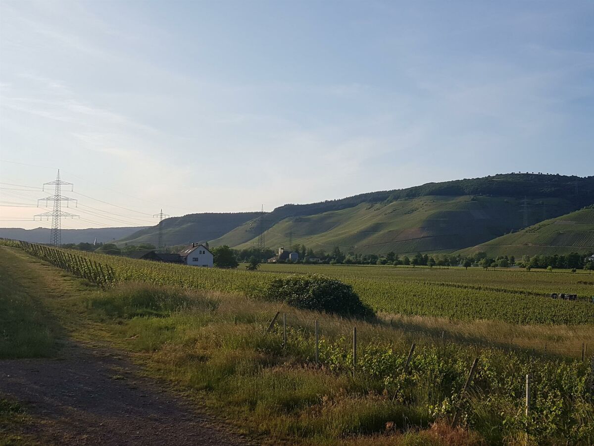 Apartment 2-Bettwohnung **** - Outdoor photo 3