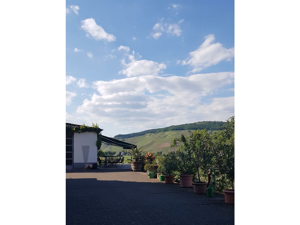 Apartment 2-Bettwohnung **** - Outdoor photo 4