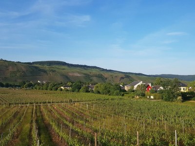 Apartment 2-Bettwohnung **** in Riol - Apartment