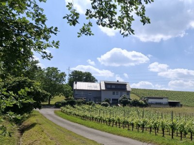 Apartment 2-Bettwohnung **** - Outdoor photo 14