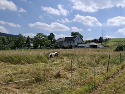 Apartment 2-Bettwohnung **** - Outdoor photo 18