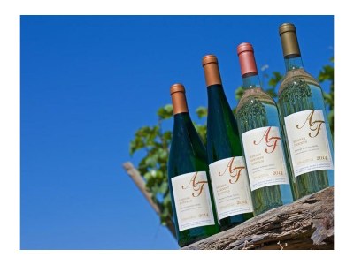 Apartment 2-Bettwohnung - Outdoor photo 7