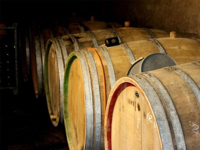 Apartment 2-Bettwohnung - Outdoor photo 9