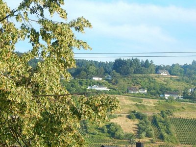 Apartment Appartement/ Fewo - Outdoor photo 2