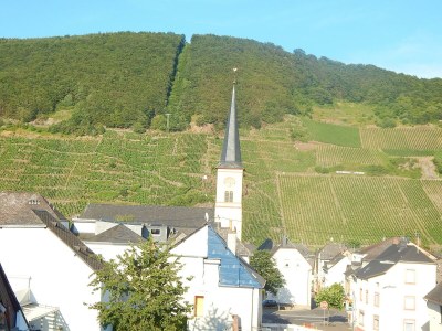 Apartment Appartement/ Fewo - Outdoor photo 11