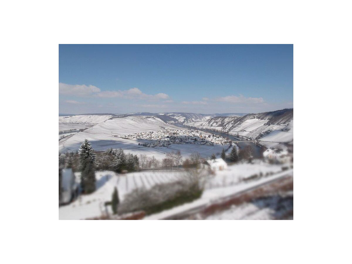 Apartment Fewo 4 "Kerner" - Casa la Vino - Outdoor photo 4