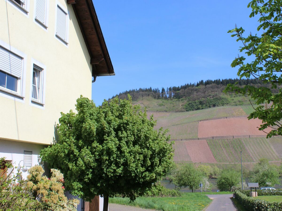 Apartment Ferienwohnung "Gold" - Outdoor photo 3