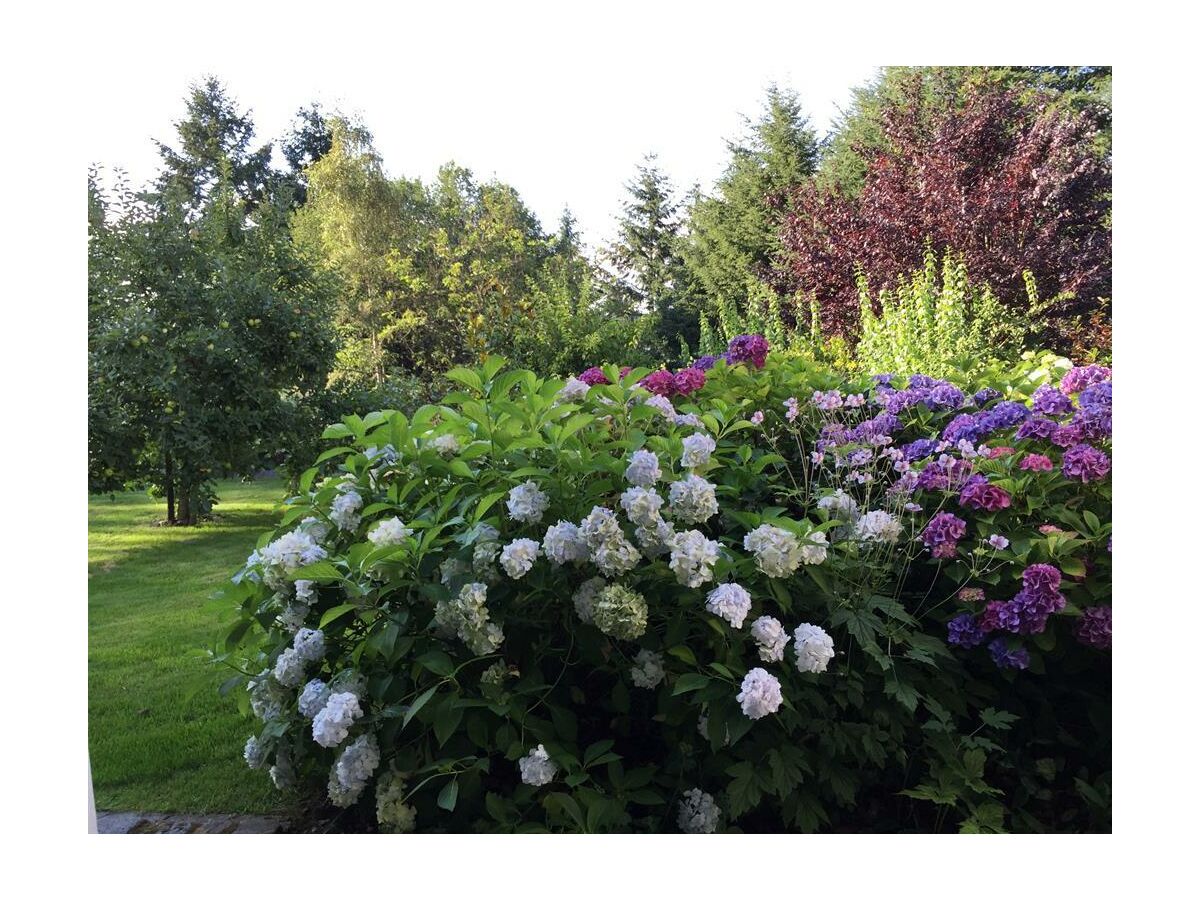 Apartment 4-Bettwohnung - Outdoor photo 4