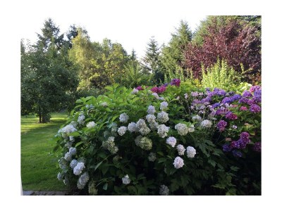 Apartment 4-Bettwohnung - Outdoor photo 4