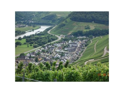 Apartment Ferienwohnung "Rose am Mühlenbach" - Outdoor photo 9