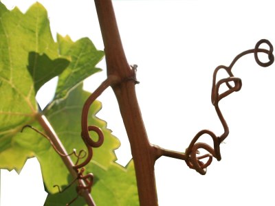 Apartment Ferienhaus - Outdoor photo 15