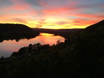 Apartment Ferienwohnung in Schweich - Apartment