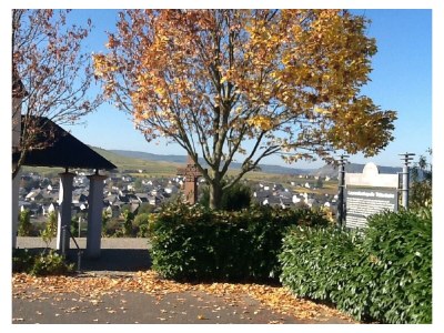 Apartment 2-Bettwohnung "Altärchen" - Outdoor photo 22