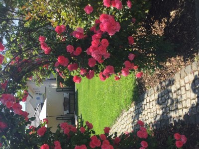 Apartment 4-Bettwohnung, "Livia" **** - Outdoor photo 14