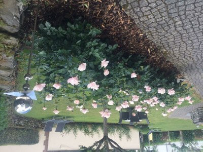 Apartment 4-Bettwohnung, "Livia" **** - Outdoor photo 16