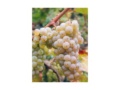 Apartment Appartement Dusche/WC - Outdoor photo 3