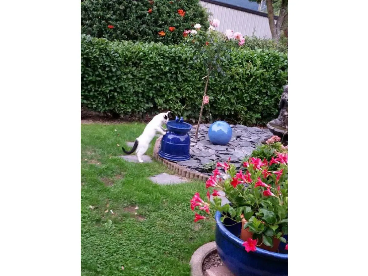 Apartment 4-Bettwohnung - Outdoor photo 4