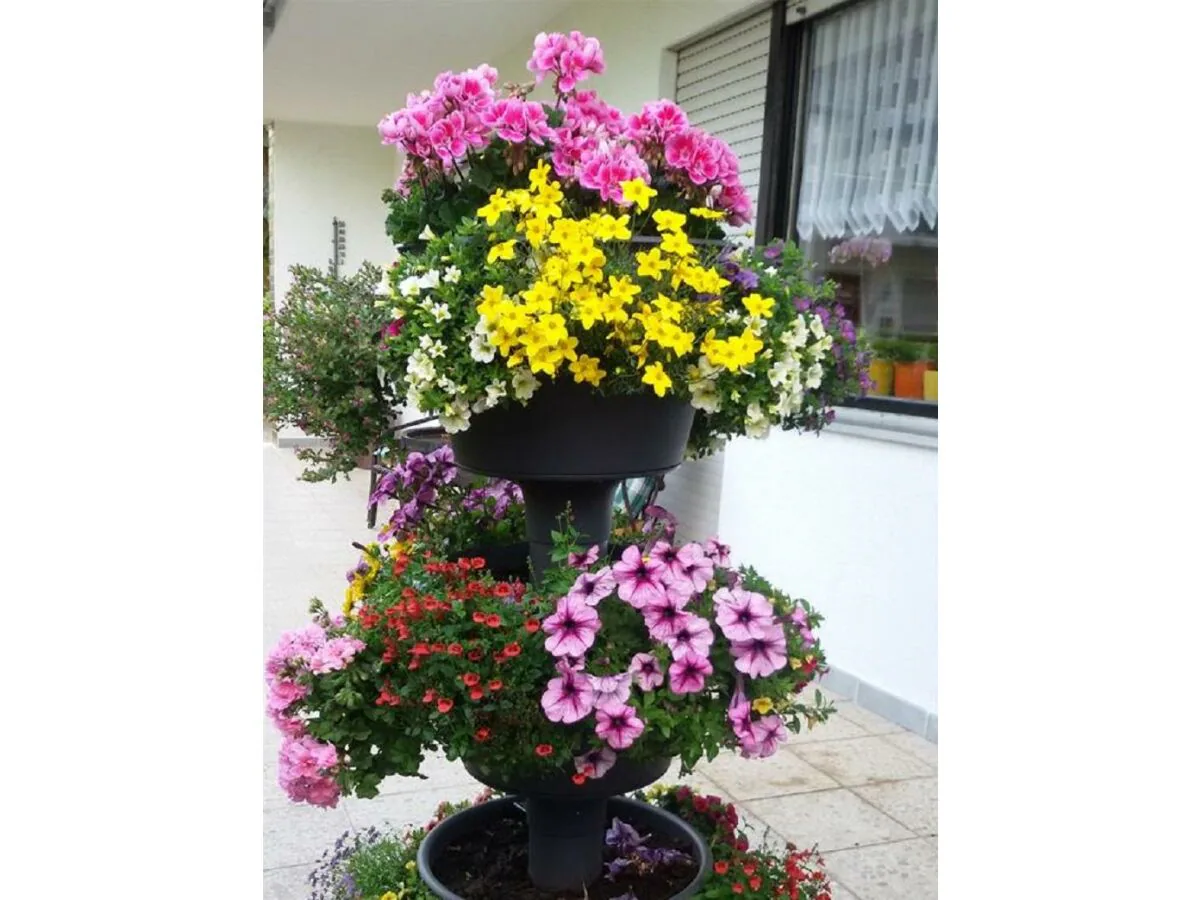 Apartment 4-Bettwohnung - Outdoor photo 5