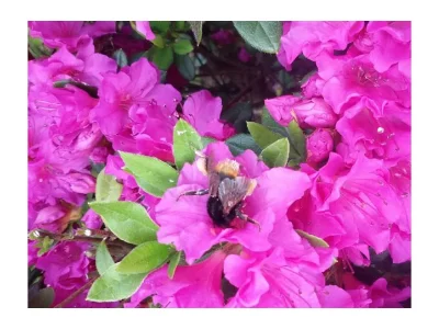 Apartment 4-Bettwohnung - Outdoor photo 10