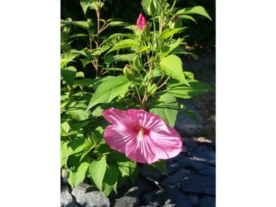 Apartment 4-Bettwohnung - Outdoor photo 11