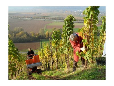 Apartment 4-Bettwohnung*** - Outdoor photo 11