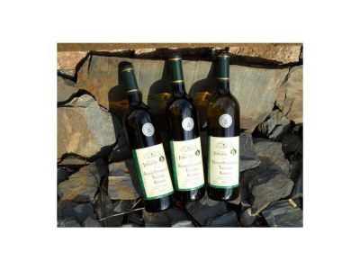 Apartment 4-Bettwohnung*** - Outdoor photo 13