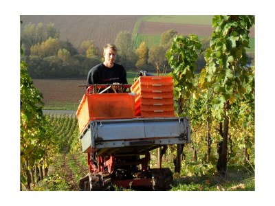 Apartment 4-Bettwohnung*** - Outdoor photo 20