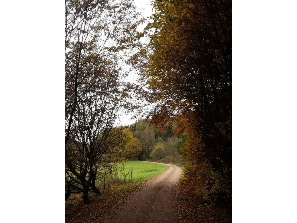 Apartment Nr. 2  4-Bettwohnung  behindertengerecht - Outdoor photo 3