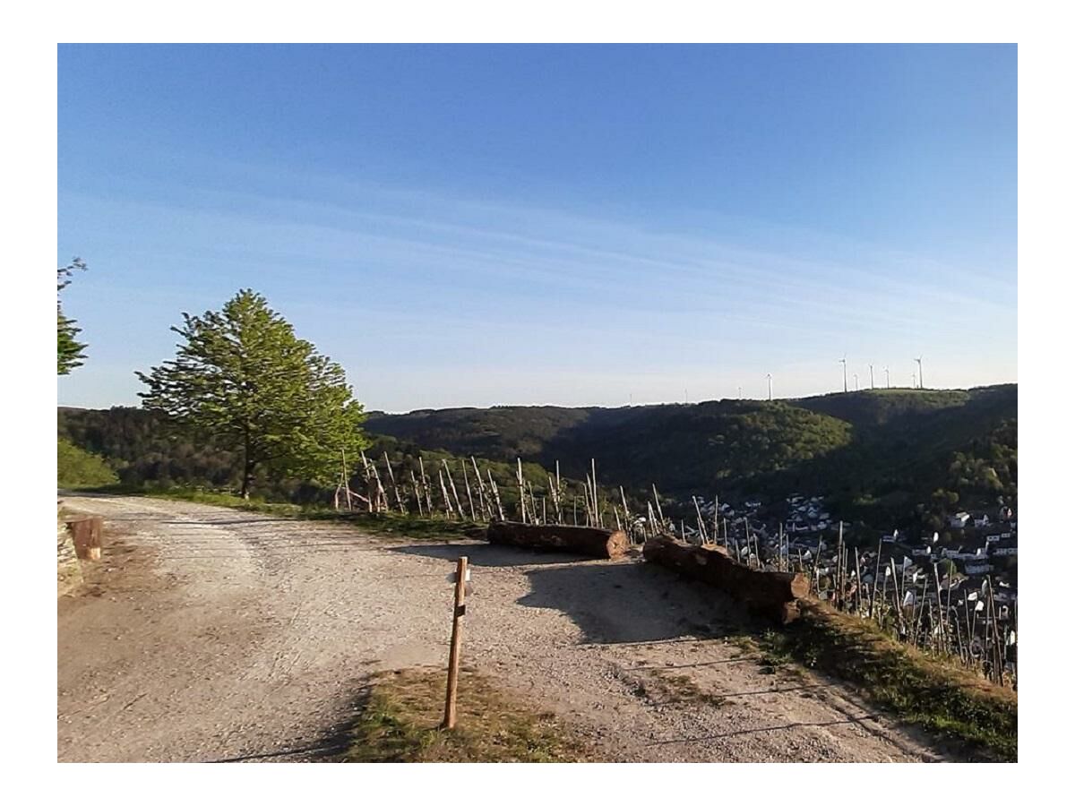 Apartment Nr. 2  4-Bettwohnung  behindertengerecht - Outdoor photo 4