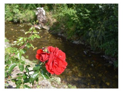 Apartment Nr. 2  4-Bettwohnung  behindertengerecht - Outdoor photo 2