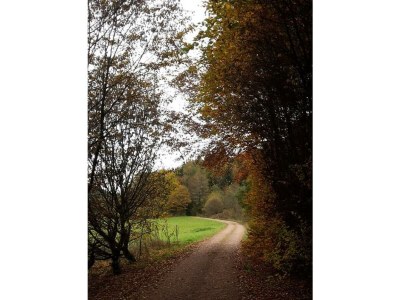 Apartment Nr. 2  4-Bettwohnung  behindertengerecht - Outdoor photo 3