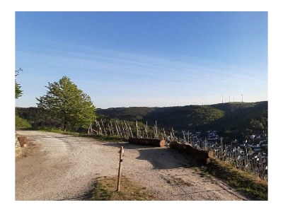 Apartment Nr. 2  4-Bettwohnung  behindertengerecht - Outdoor photo 4