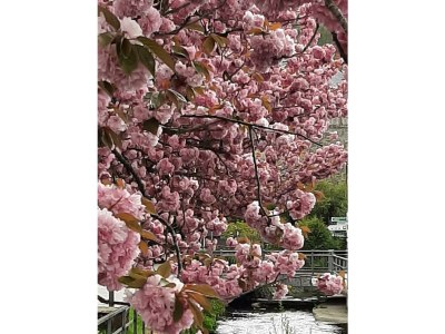 Apartment Nr. 2  4-Bettwohnung  behindertengerecht - Outdoor photo 12