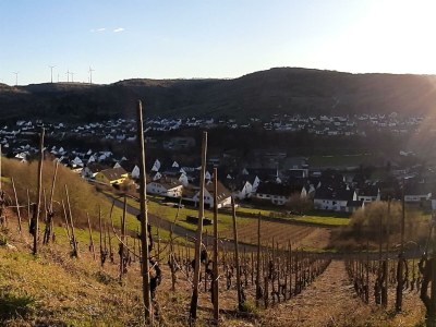 Apartment Nr. 2  4-Bettwohnung  behindertengerecht - Outdoor photo 15