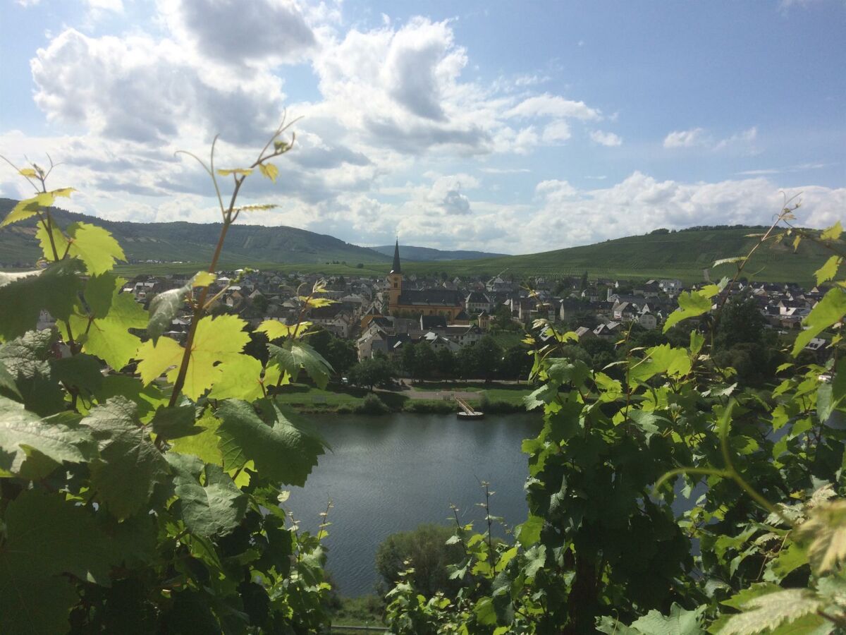 Apartment Appartement "Weinselig" - Outdoor photo 4