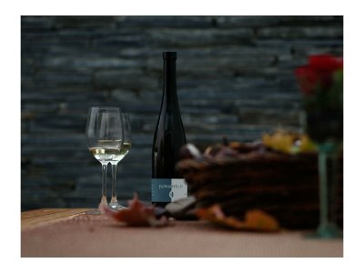 Apartment Appartement "Weinselig" - Outdoor photo 11