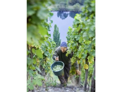 Apartment Appartement  "Winzerschlaf" - Outdoor photo 10