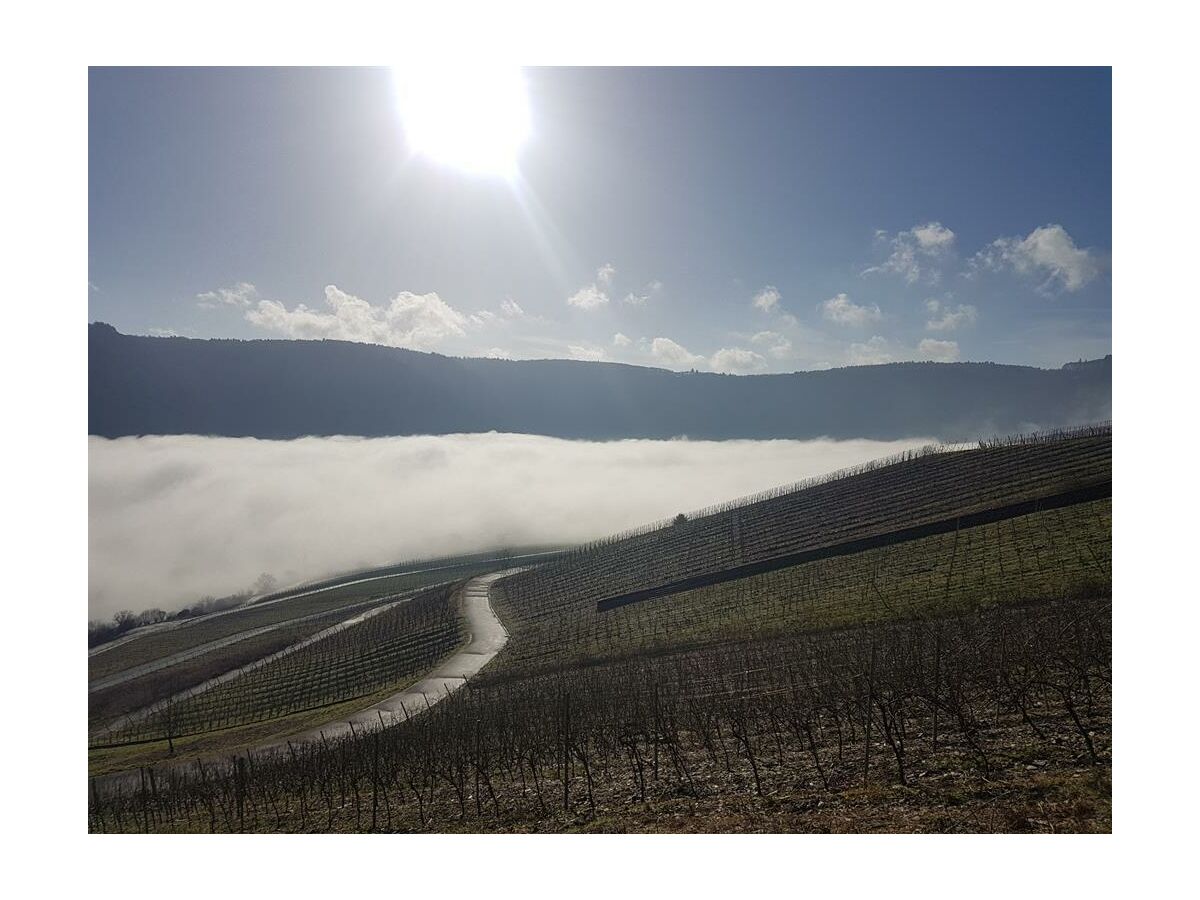 Apartment Casa Dolce Vita - Outdoor photo 5