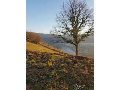 Apartment Casa Dolce Vita - Outdoor photo 13