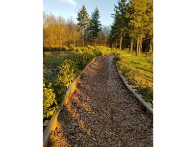 Apartment Casa Dolce Vita - Outdoor photo 15