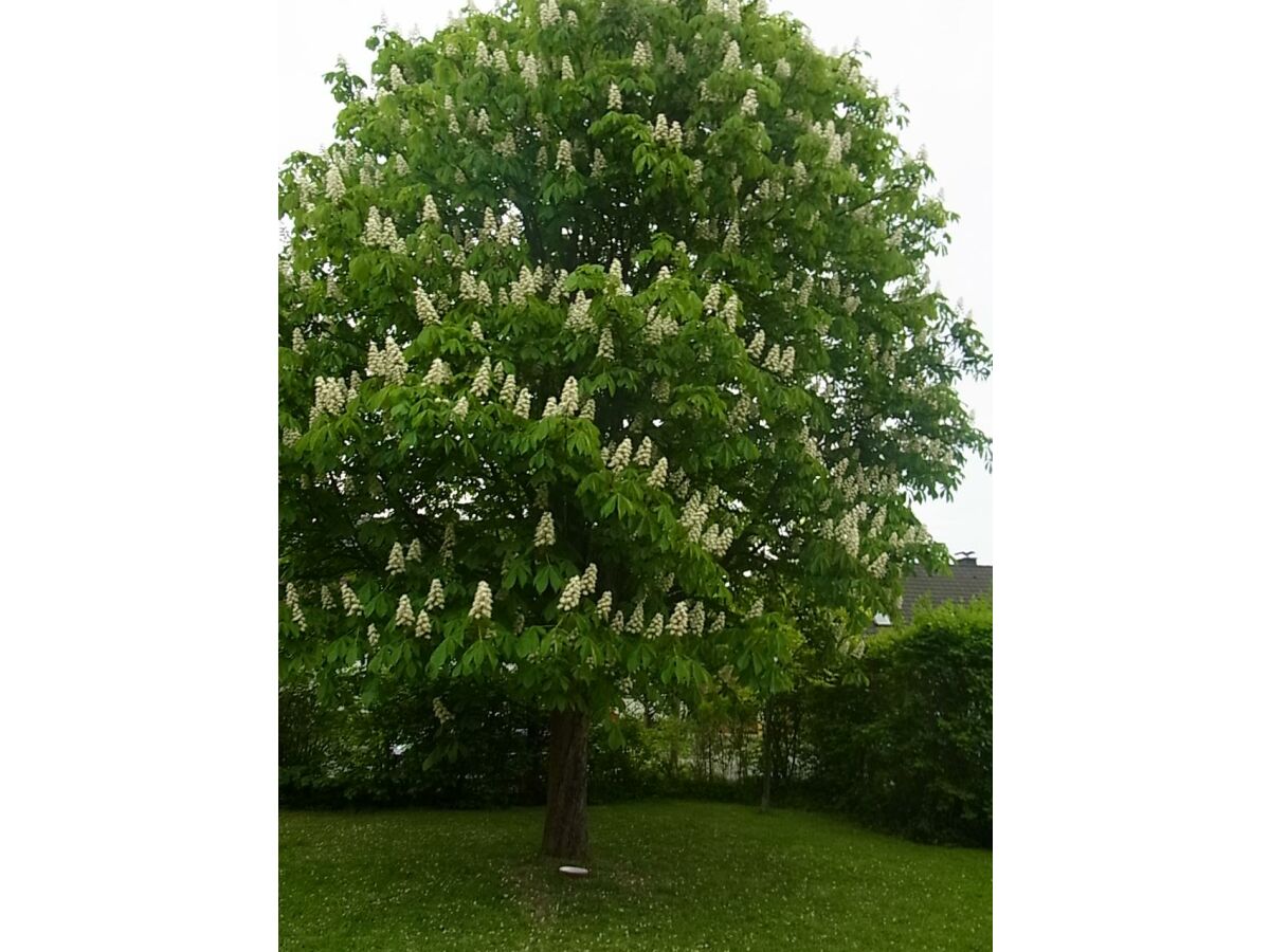 Apartment 2-Bett-Appartment - Outdoor photo 4