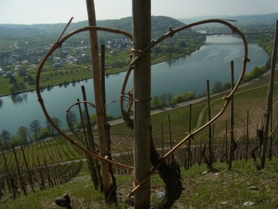 Apartment 2-Bett-Appartment - Outdoor photo 3