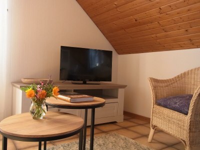 Apartment 2-Bett-Appartment - Features photo 16