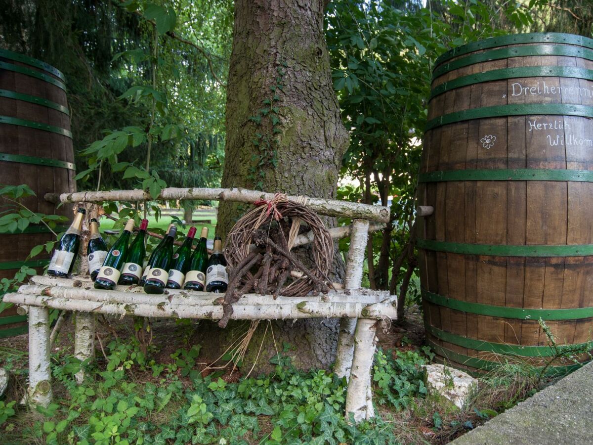 Apartment 4-Bettwohnung, Ferienwohnung 1 - Outdoor photo 4