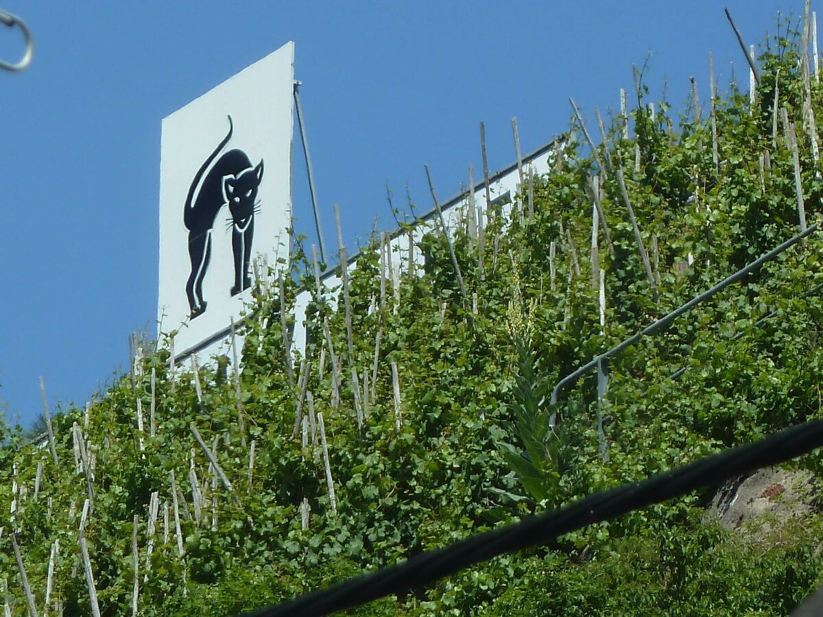 Apartment Römerhäuschen - Outdoor photo 3