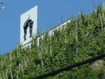 Apartment Römerhäuschen - Outdoor photo 3