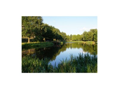 Apartment Ferienhaus am Flaumbach - Outdoor photo 2