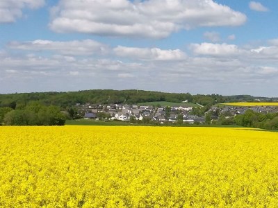 Apartment Ferienhaus am Flaumbach - Outdoor photo 6