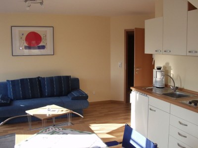 Apartment Ferienwohnung, Dusche, WC, Flussblick - Features photo 24