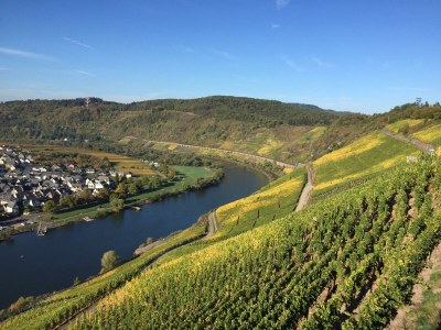 Apartment Ferienwohnung, Dusche, WC, Flussblick - Features photo 31